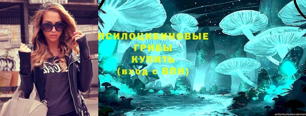 круглые Алексеевка