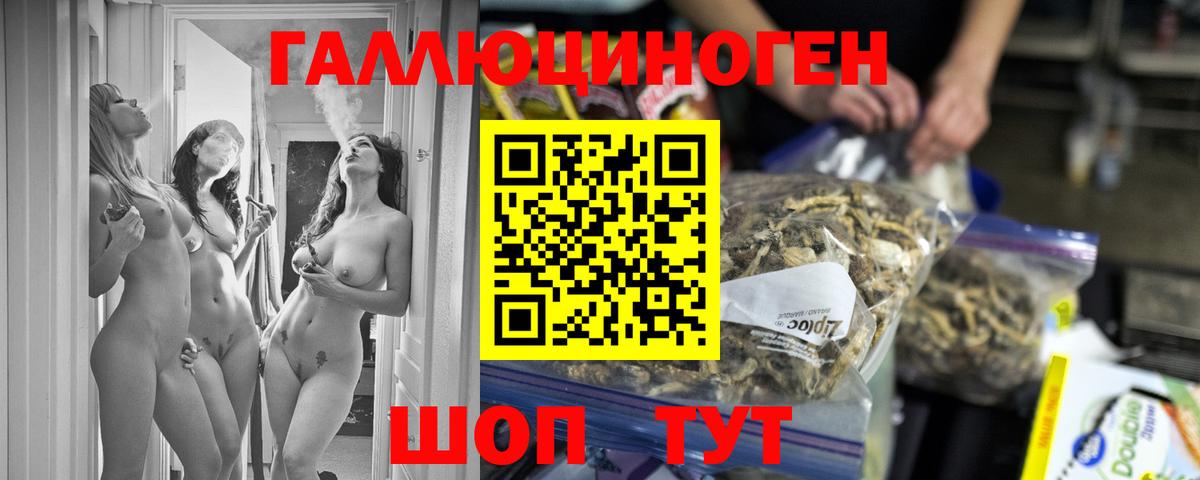 Галлюциногенные грибы Psilocybe Солнечногорск