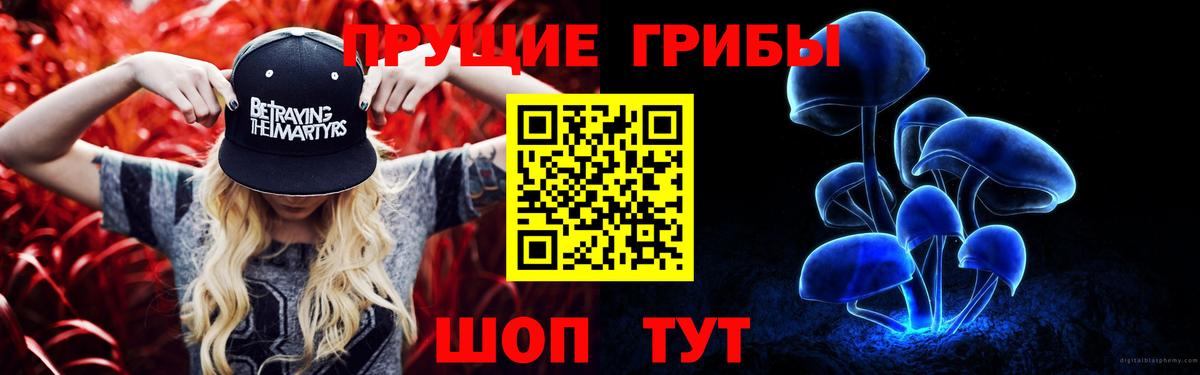 наркошоп  Вход с VPN  Солнечногорск  Псилоцибиновые грибы ЛСД  Псилоцибиновые грибы Cubensis 